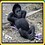 jtgamer