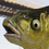 MrBrax