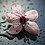 Snowdrop